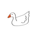 Cute line goose swimming on isolated white background